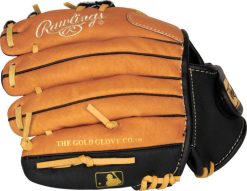 Rawlings Sure Catch Youth Model Baseball Glove - 10" -Wilson Sales Store SC100TBI4