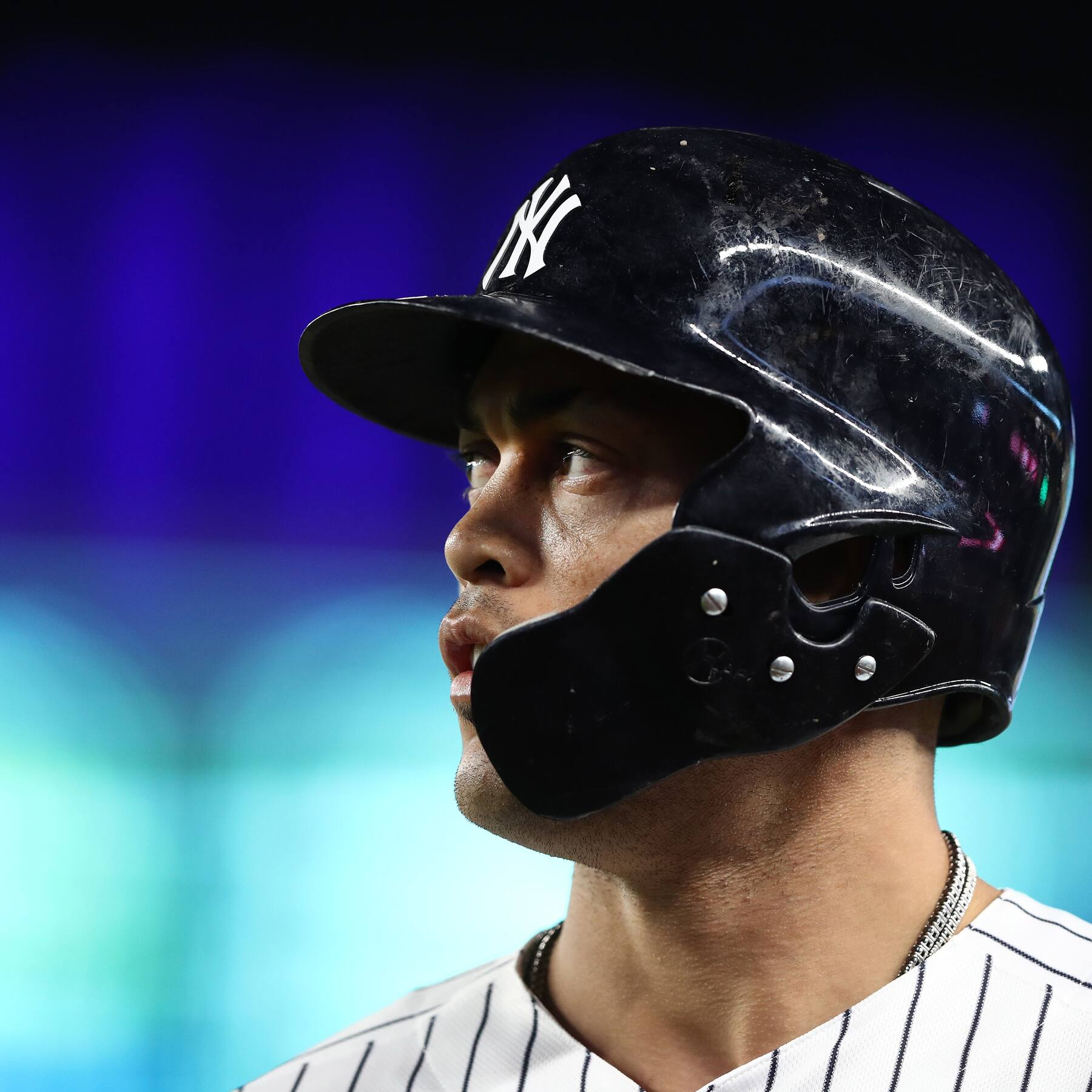 Wilson Sales Store -Wilson Sales Store imrs